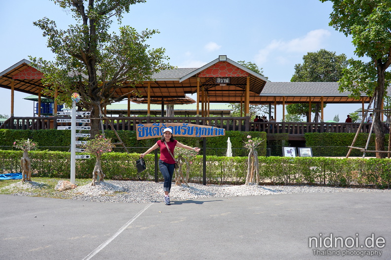 2023-03-28 - Sriayuthaya Lion Park 11.jpg