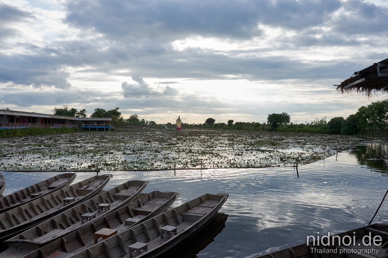 2024-05-29 - Thung Nong Bua Daeng 031.jpg