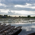2024-05-29 - Thung Nong Bua Daeng 031