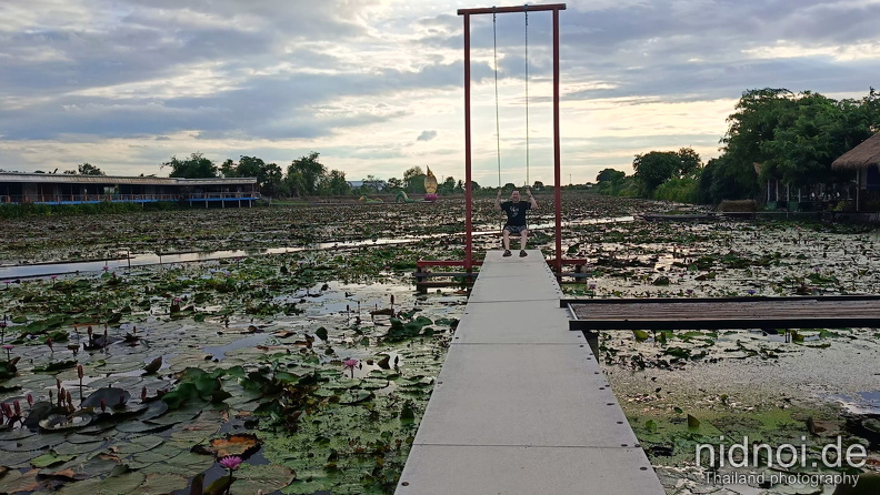 2024-05-29 - Thung Nong Bua Daeng 010