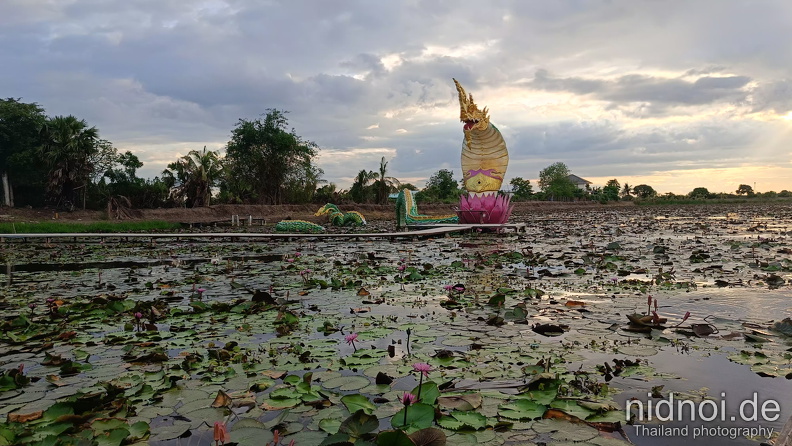 2024-05-29 - Thung Nong Bua Daeng 057.jpg