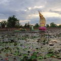 2024-05-29 - Thung Nong Bua Daeng 057