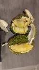 Durian