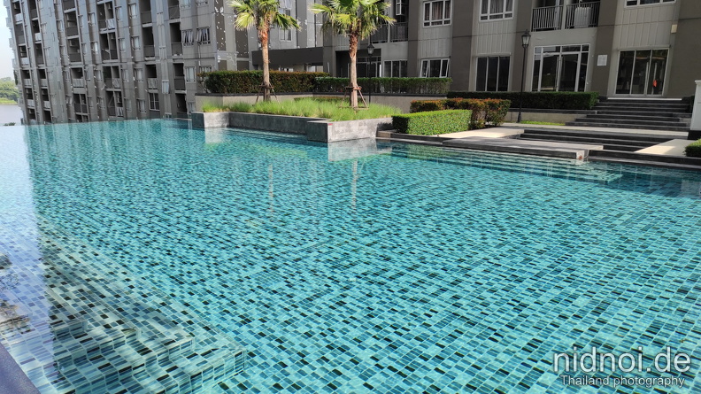 Swim in Pool 07