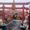 Wat Khao Din 084