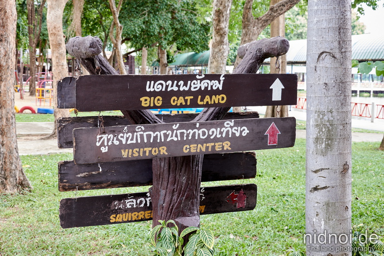 2024-06-11 - Bueng Chawak 064.jpg
