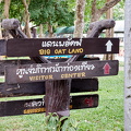 Bueng Chawak 064