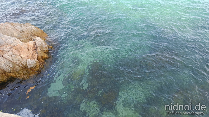 Koh Larn Tien Beach