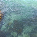 Koh Larn Tien Beach
