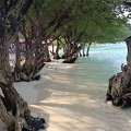 Koh Larn Tien Beach