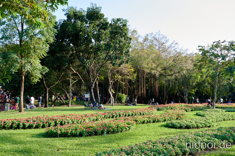 Suan Luang Rama IX 
