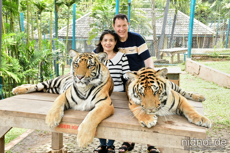 2025-06-11 - Tiger Kingdom (photographer) 053