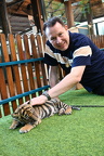 newborn tiger