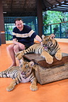 Tiger Kingdom Chiang Mai two small tigers